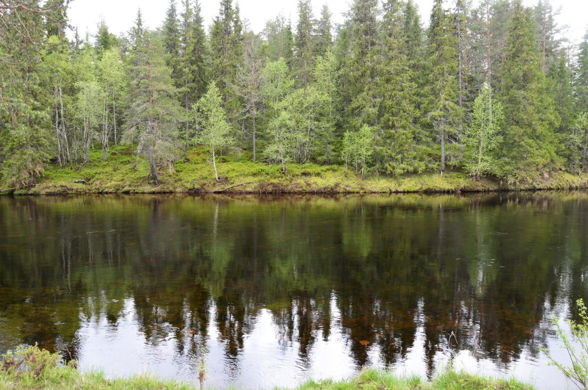 16 - Fulufjellets Nasjonalparker - Natur-, Dyre- Og Fugleopplevelser Ljordal Exterior photo