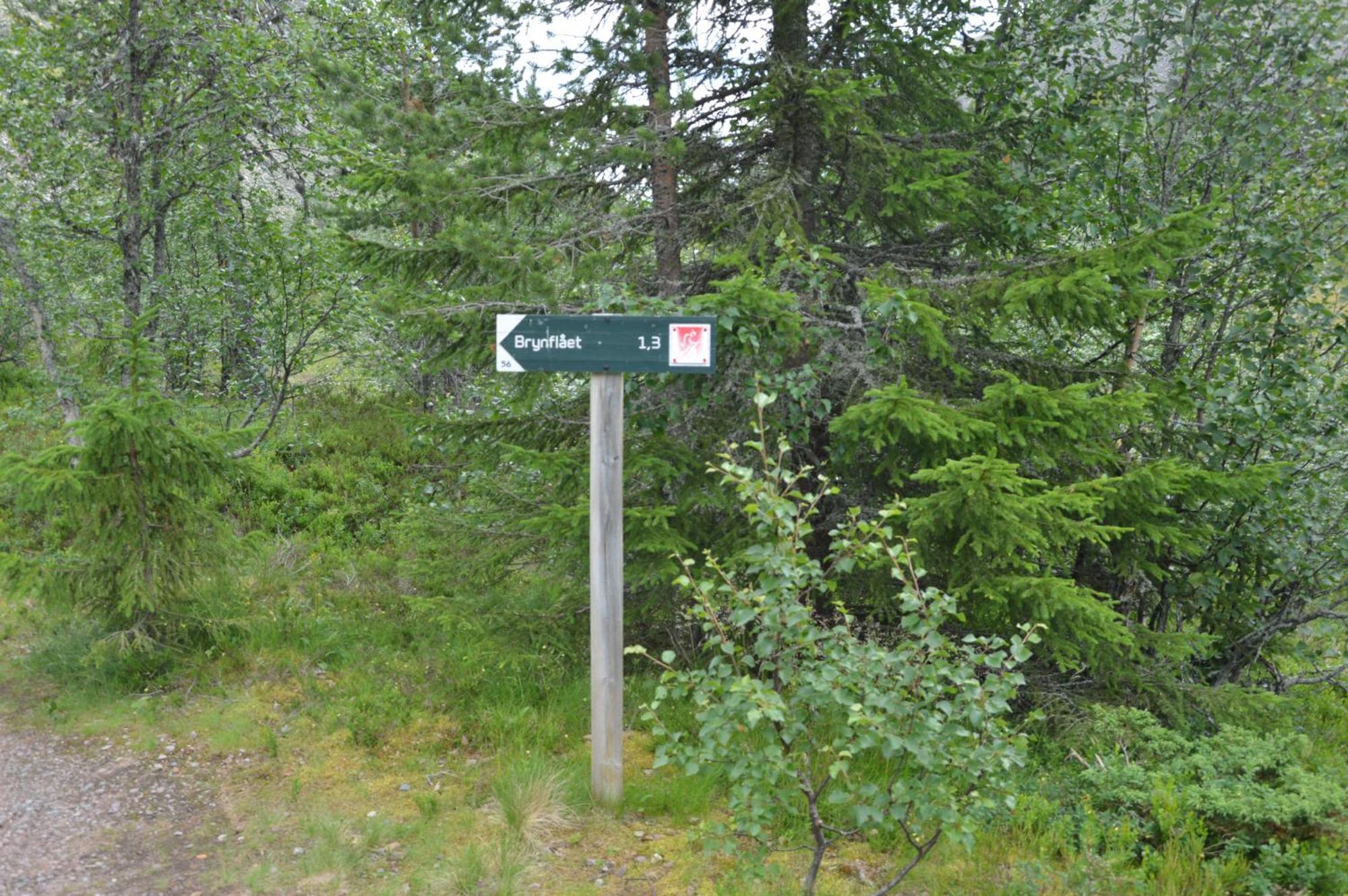 16 - Fulufjellets Nasjonalparker - Natur-, Dyre- Og Fugleopplevelser Ljordal Exterior photo