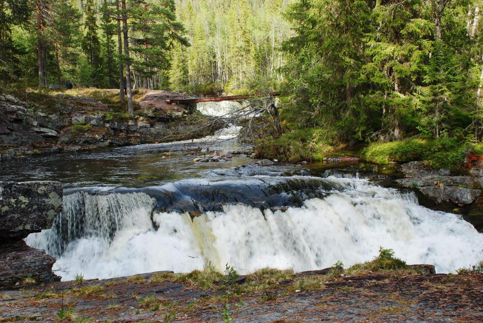 16 - Fulufjellets Nasjonalparker - Natur-, Dyre- Og Fugleopplevelser Ljordal Exterior photo