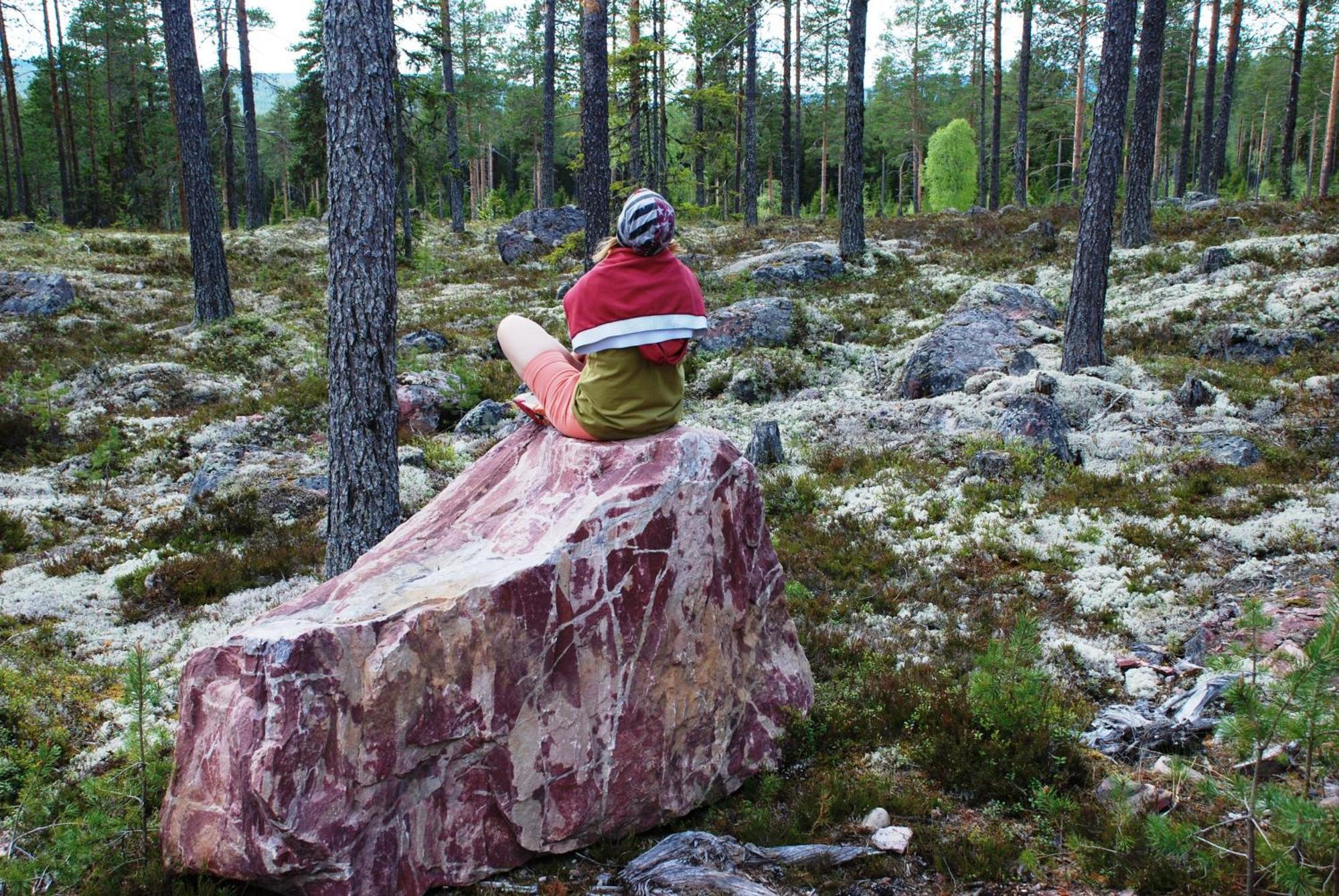16 - Fulufjellets Nasjonalparker - Natur-, Dyre- Og Fugleopplevelser Ljordal Exterior photo